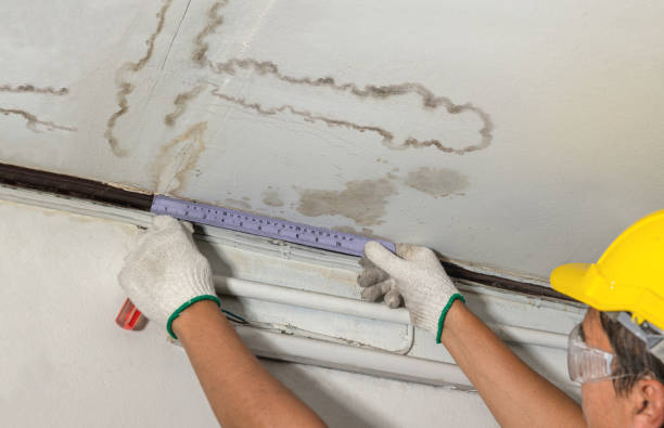 Reliable Flood Cleanup contractor in Mears, MI by Water Damage Irwin
